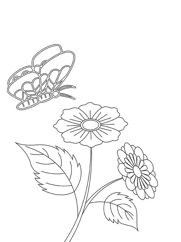 Get 85 Printable Flower Butterfly Coloring Pages Ideas 64