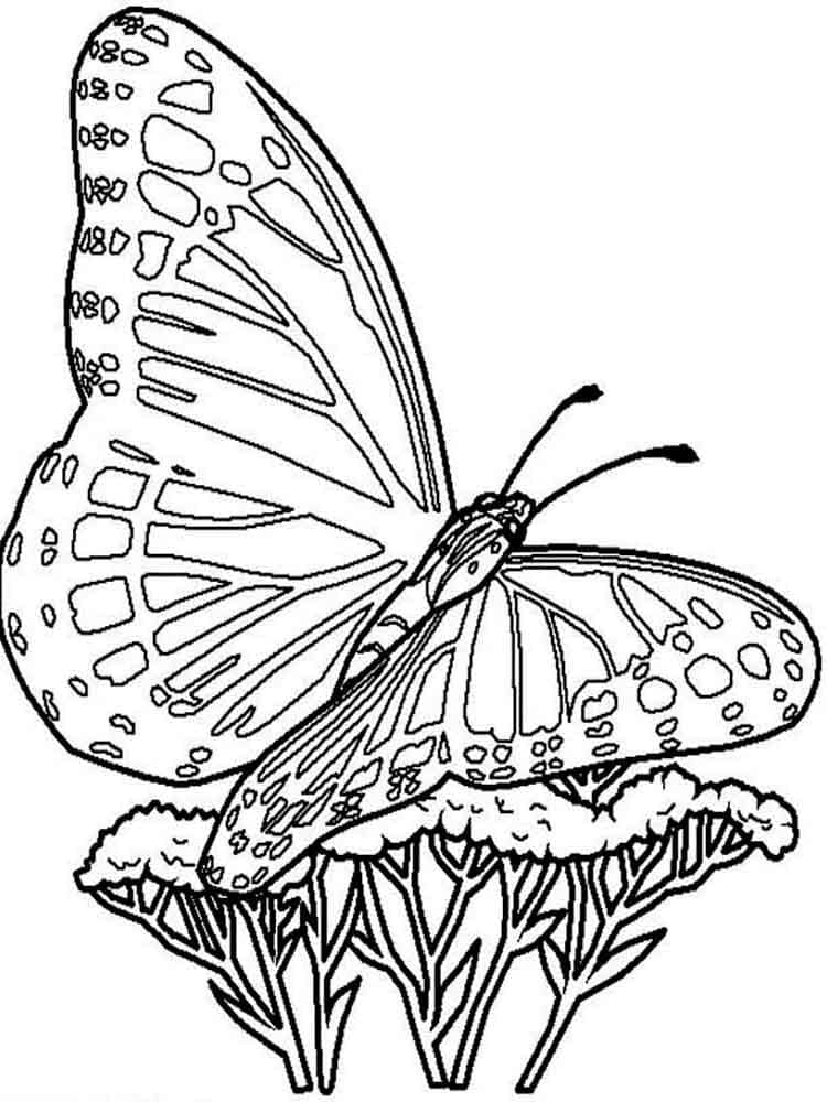 Get 85 Printable Flower Butterfly Coloring Pages Ideas 9