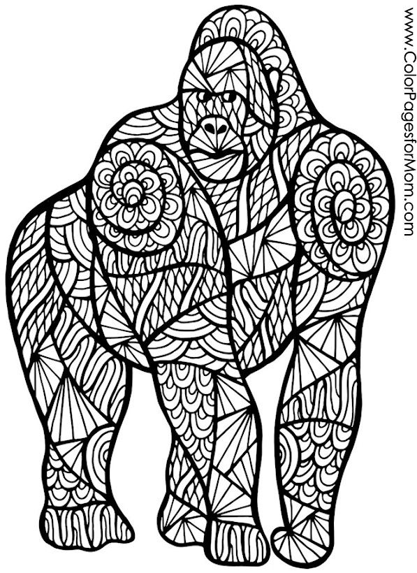 Save 60 Animal Coloring Pages Adults Ideas 13