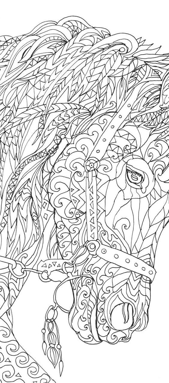 Save 60 Animal Coloring Pages Adults Ideas 14