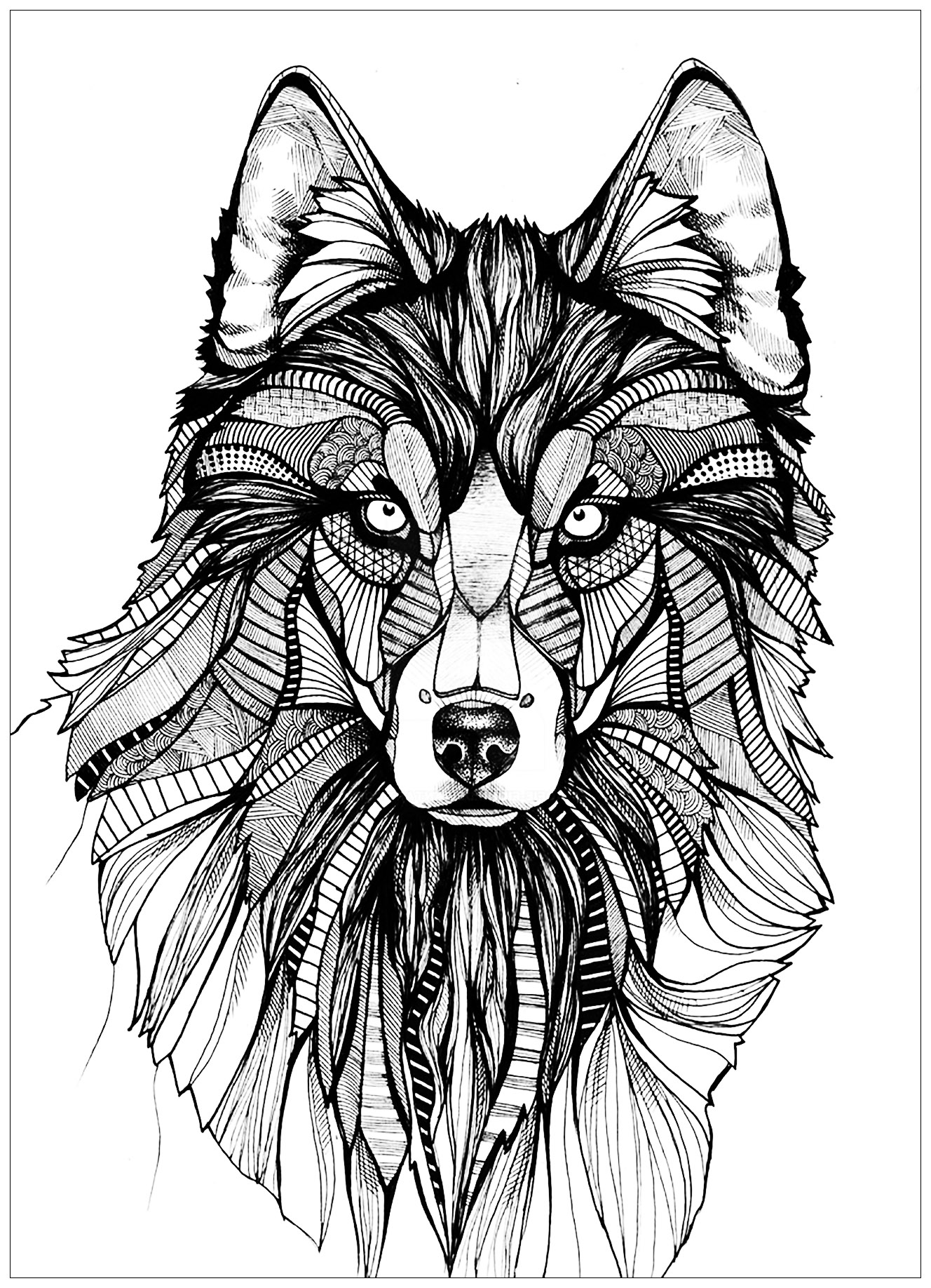 Save 60 Animal Coloring Pages Adults Ideas 2