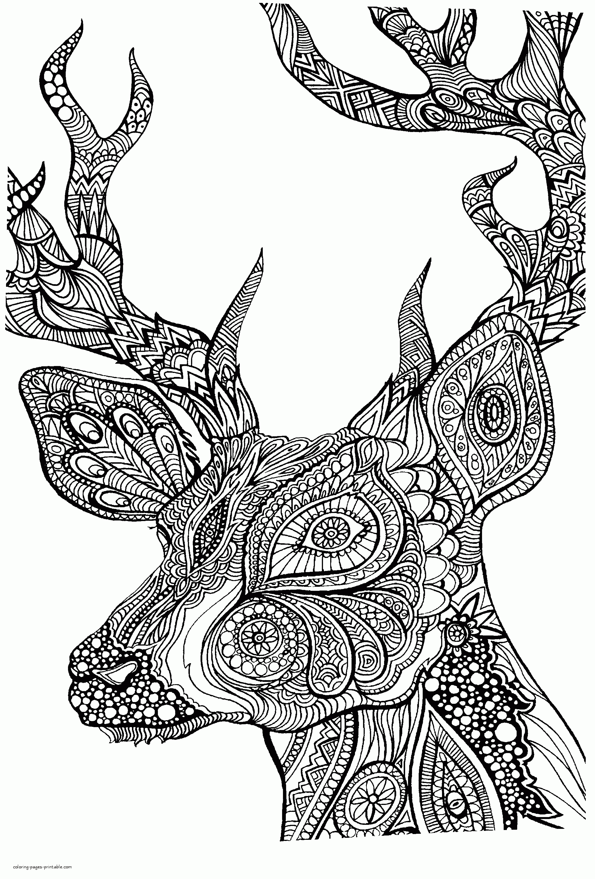 Save 60 Animal Coloring Pages Adults Ideas 22