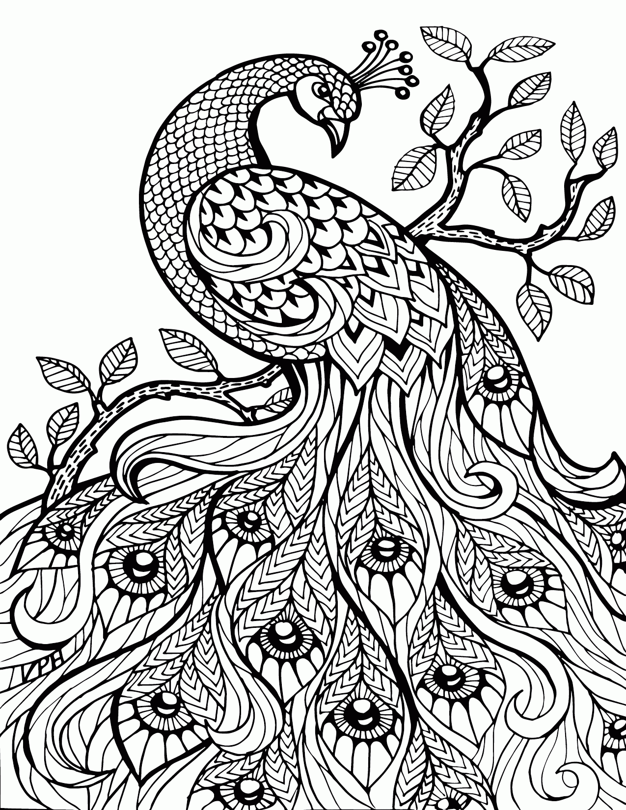 Save 60 Animal Coloring Pages Adults Ideas 23