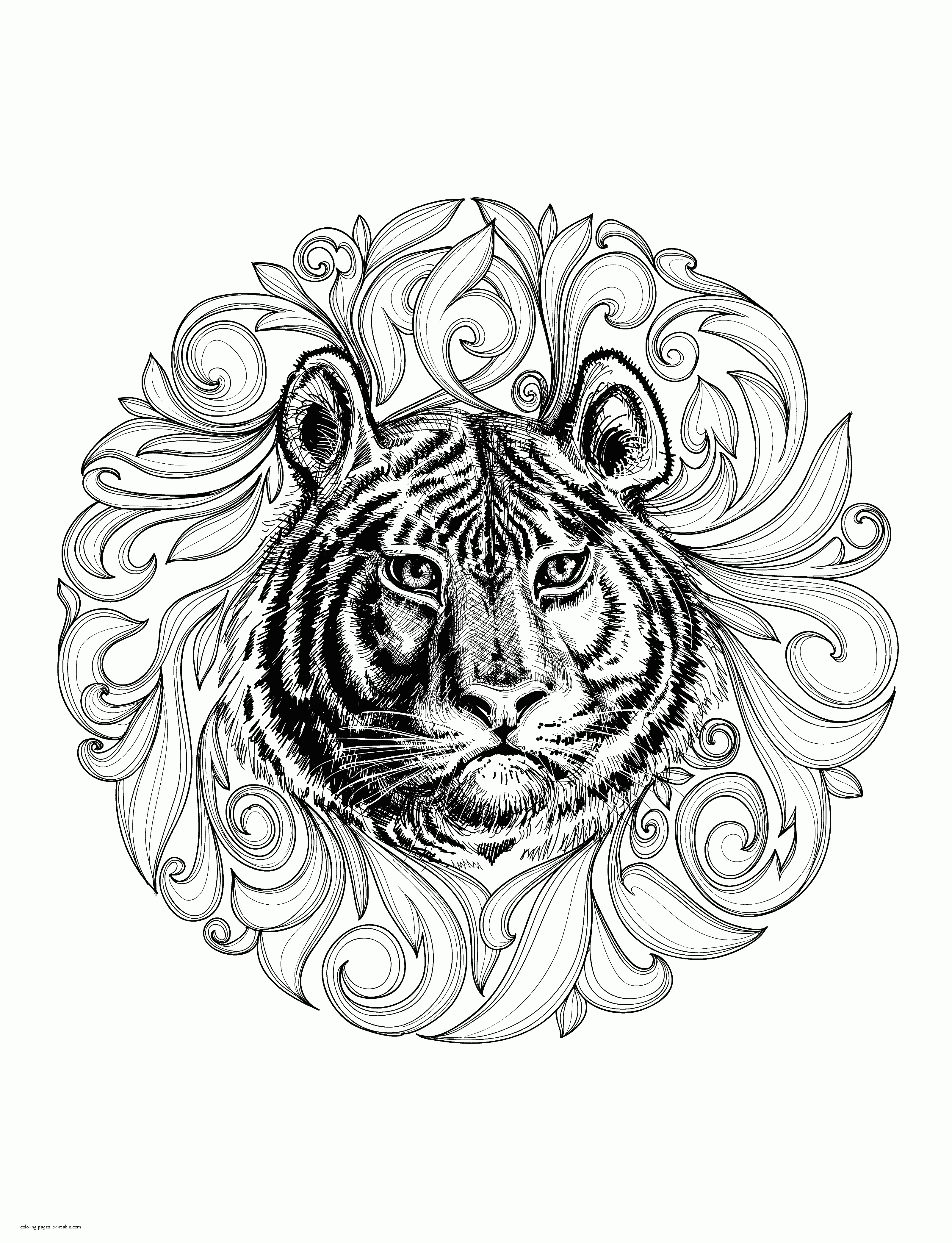 Save 60 Animal Coloring Pages Adults Ideas 3