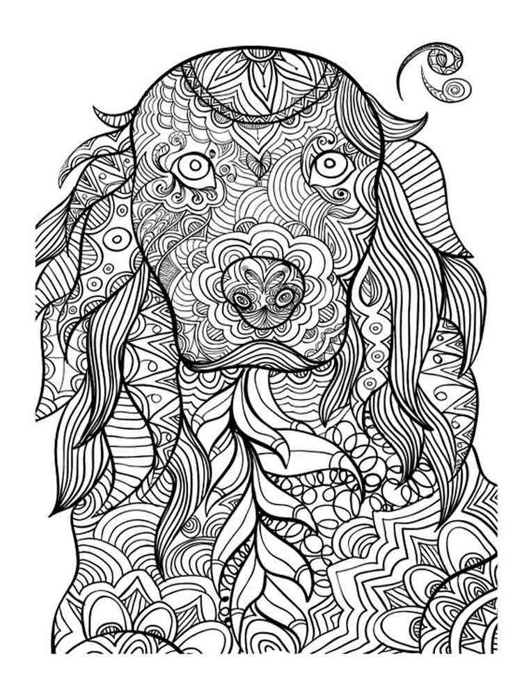 Save 60 Animal Coloring Pages Adults Ideas 45