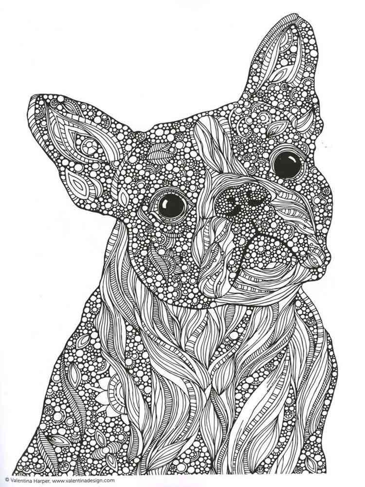 Save 60 Animal Coloring Pages Adults Ideas 5