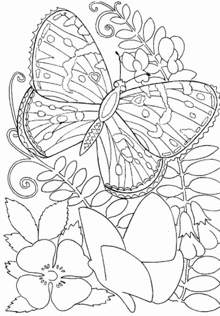 20 Adult Coloring Book Pages Free Printable Easy