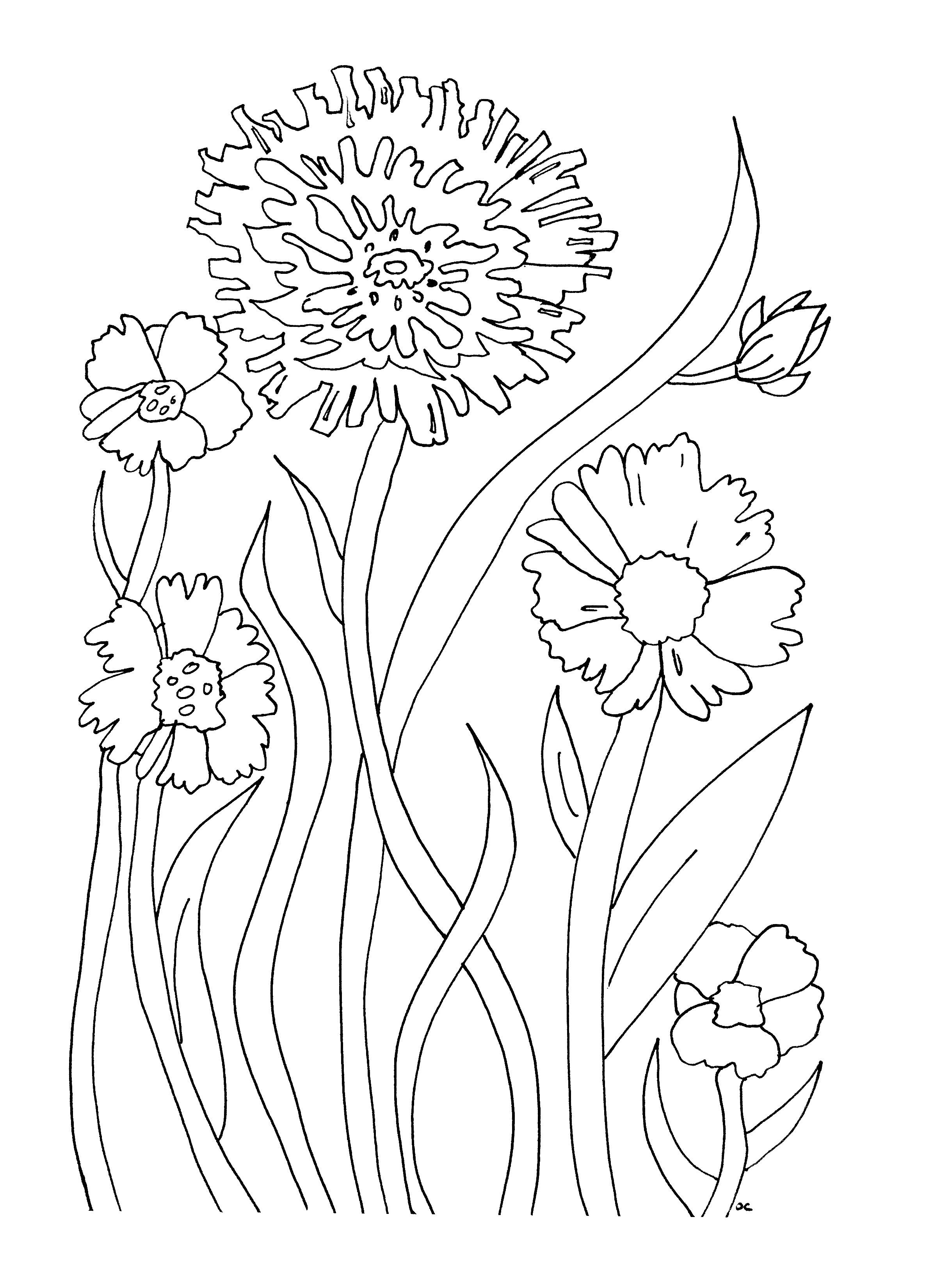 20 Adult Coloring Book Pages Free Printable Easy