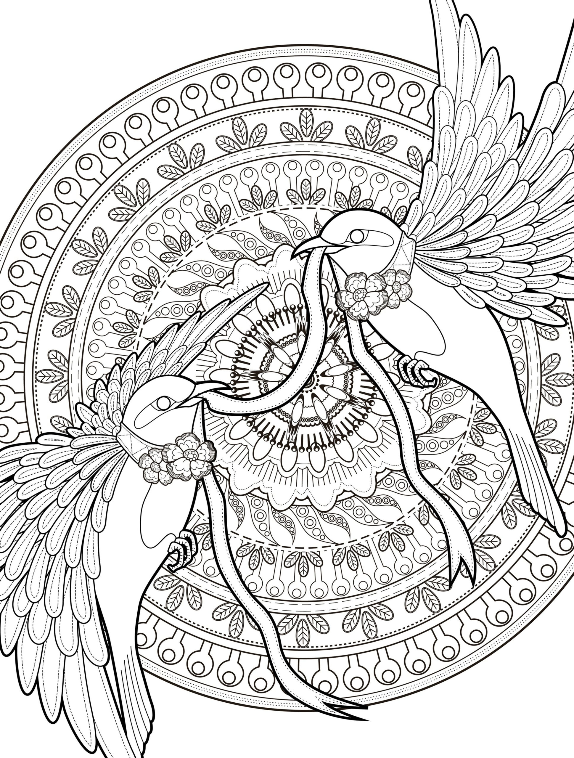 20 Adult Coloring Book Pages Free Printable Easy