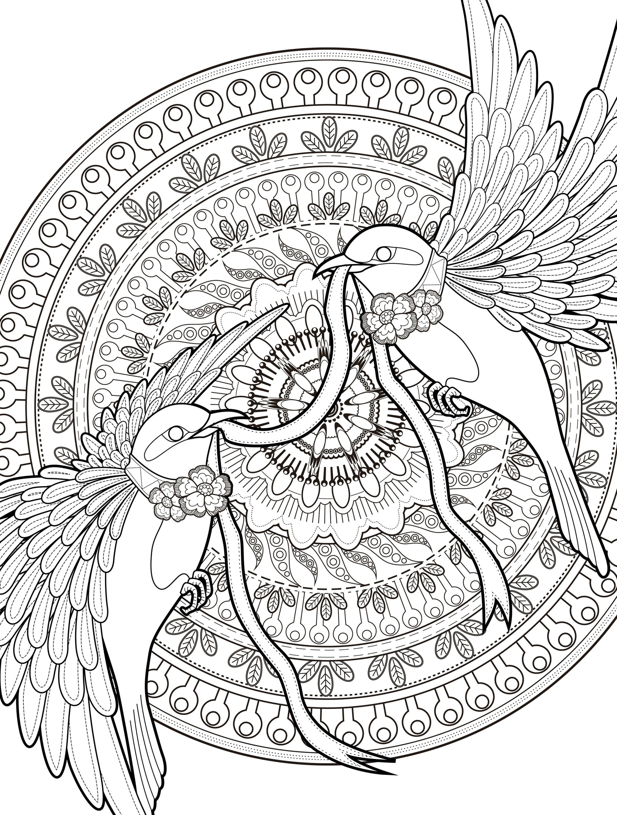 20 Adult Coloring Book Pages Free Printable Easy