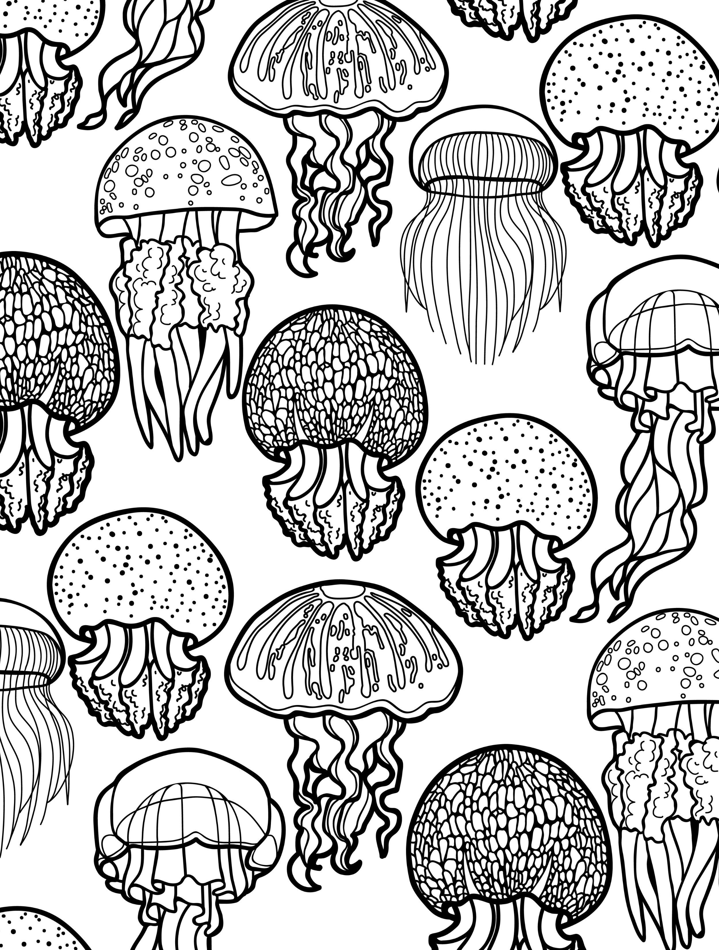 20 Coloring Pages Easy Adult